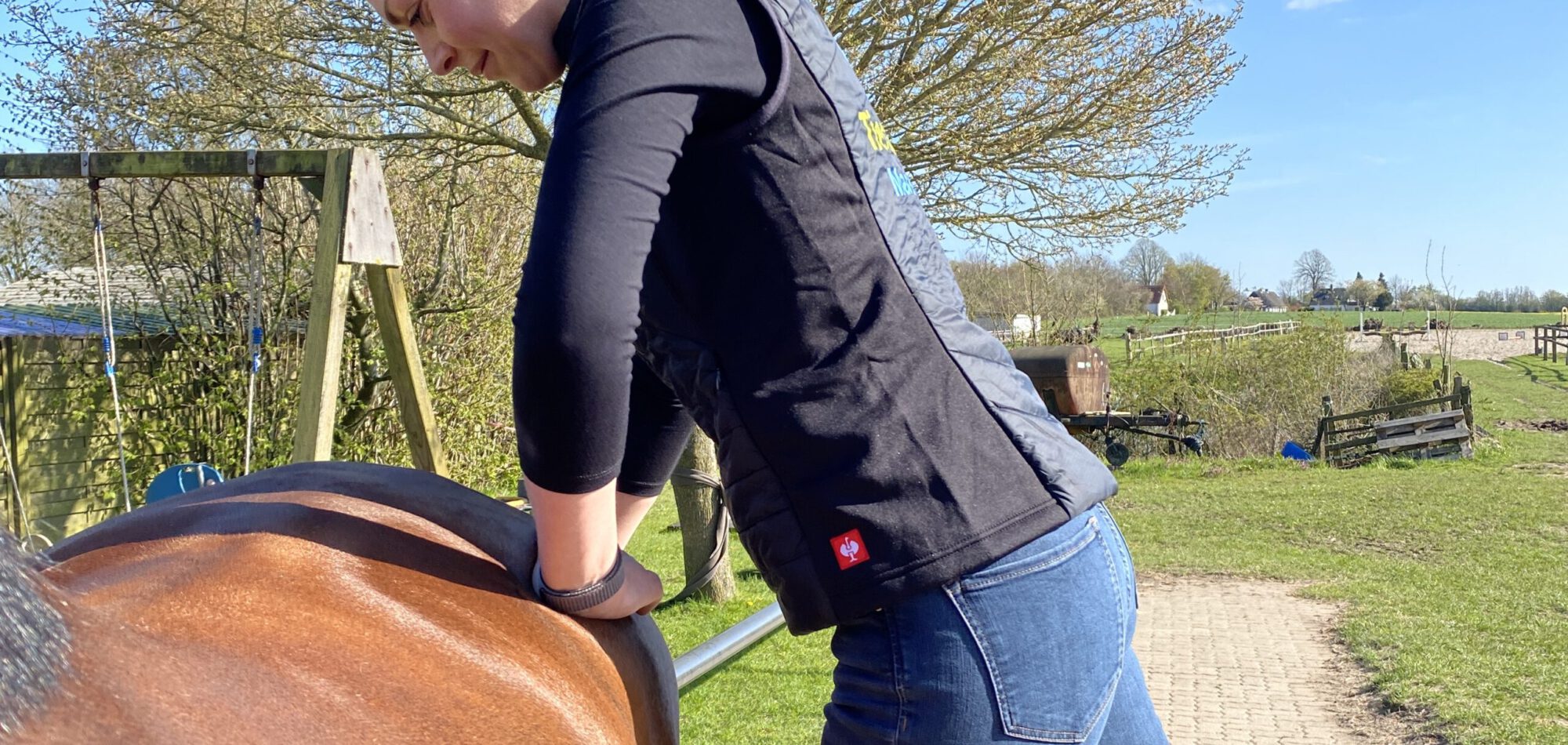 Pferd mit Beckenblockade